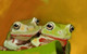 frog paintings,56Anm91,MTO_1550_15171,Artist : Community Artists Group,Mixed Media