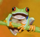 frog paintings,56Anm90,MTO_1550_15170,Artist : Community Artists Group,Mixed Media