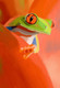 frog paintings,56Anm89,MTO_1550_15169,Artist : Community Artists Group,Mixed Media