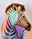 zebra paintings,56Anm82,MTO_1550_15161,Artist : Community Artists Group,Mixed Media