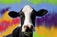 Cow Paintings,56Anm56,MTO_1550_15105,Artist : Community Artists Group,Mixed Media