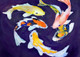 fish paintings,56Anm135,MTO_1550_15220,Artist : Community Artists Group,Mixed Media