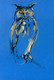 owl paintings,56Anm120,MTO_1550_15215,Artist : Community Artists Group,Mixed Media