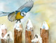 bird paintings,56Anm160,MTO_1550_15233,Artist : Community Artists Group,Mixed Media