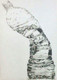 Bottle, crushed, pencil, paper, A3, black and White,Bottle,ART_1898_15649,Artist : Ravish Choudhary,Pencil