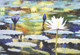 flower paintings,lotus paintings,white lotus paintings,56Flower01,MTO_1550_15764,Artist : Community Artists Group,Mixed Media