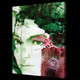 ,55Figure33,MTO_1550_16306,Artist : Community Artists Group,Mixed Media