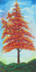 Tree, Nature, Forest, Oil, Autumn,A Peacceful Tree (SA101),ART_1995_16330,Artist : Sijo Joseph,Oil