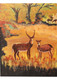 forest,deer,tree,mountains,jungle,ART_2008_16481,Artist : Kokila Joshi,Acrylic