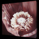 ,55flower09,MTO_1550_16673,Artist : Community Artists Group,Mixed Media