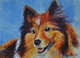 dog, pet, animal, pet animal, best friend,My pet dog,ART_1088_17266,Artist : Ajay Parippally,Acrylic