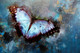 Butterfly, blue, sky, abstract,The blue wings,MTO_1550_17736,Artist : Community Artists Group,Mixed Media