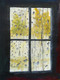 Old Window,Raindrops,Sadness,Nostalgic,Happyness,Old Window,ART_2144_17638,Artist : Anirban Kar,Poster Colors