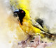 Yellow, sparrow,The yellow bird,MTO_1550_17781,Artist : Community Artists Group,Mixed Media