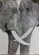 Elephant love,Love,ART_2275_17877,Artist : Raja Joanna,Graphite