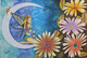 fantasy, woman, flowers,A beautiful woman as fairy with a lantern sitting on a crescent moon,ART_2525_18886,Artist : PANKTI JAIN,Pencil