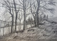 Black and White, Black, White, Pencil, Sketch, Painting, Beauty, Beautiful, Scenic, Pretty, Forest, Trees, Jungle, NAture, Landscape,FORESTS,ART_2709_19571,Artist : Zeel Savla,Charcoal