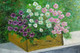 Flowers, Nature, Spring, Colourful, Bright, Pink, Mauve, Oil on canvas,Floral --A box of colourful petunias,ART_2586_19069,Artist : MALINI MENON,Oil