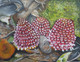 Balanophora-parasitc plant (ART_2756_19704) - Handpainted Art Painting - 18in X 14in