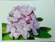 Rhododendrons (ART_3116_22144) - Handpainted Art Painting - 11in X 8in