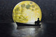 Boating in Night (FR_1523_24155) - Handpainted Art Painting - 36in X 24in