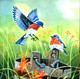 Pair of Birds chirping in deep forest (ART_4094_25468) - Handpainted Art Painting - 12in X 12in
