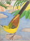 Pretty Yellow Wagtails (ART_4225_26007) - Handpainted Art Painting - 15in X 19in (Framed)