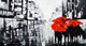 Black and white with red umbrellas (FR_1523_24009) - Handpainted Art Painting - 48in X 26in