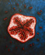 Fruit (ART_464_22635) - Handpainted Art Painting - 27in X 33in