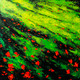 The Beauty Of Beloved Nature (ART_2571_27672) - Handpainted Art Painting - 32in X 32in