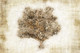 Tree With Map (PRT_472) - Canvas Art Print - 32in X 21in