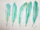 Feathers (ART_3983_28394) - Handpainted Art Painting - 16in X 12in