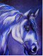 Horse - 14in X 18in (Canvas Board),ART_KISL13_1418,Acrylic Colors,Artist Kakali Sanyal,Race,Horse,Wild Horse - Buy Online Painting in India