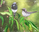 Birds and Nature (ART_168_29368) - Handpainted Art Painting - 17in X 14in
