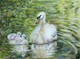 Swan and cygnets (ART_3554_29225) - Handpainted Art Painting - 14in X 10in