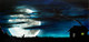 Lonely Night (ART_5357_31112) - Handpainted Art Painting - 36in X 18in