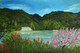 Greenery in Kashmir ( 24 x 16 inch ) (ART_976_3035) - Handpainted Art Painting - 24in X 16in (Framed)