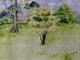 Cool picture with trees (ART_5626_32424) - Handpainted Art Painting - 16in X 11in