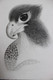 THE BIRD EYE VIEW (ART_4295_32599) - Handpainted Art Painting - 11in X 14in