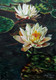 Water Lily 1 (ART_1543_32616) - Handpainted Art Painting - 10in X 15in