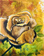 Rose (ART_4480_33061) - Handpainted Art Painting - 18in X 20in