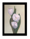 FLOWER (ART_5750_33373) - Handpainted Art Painting - 8in X 11in