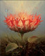 Dali13 - 24in X 32in,Dali13_2432,Red, Pink, Orange,60X80 Size,Replicas;Latest Collection Art Canvas Painting