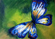 Butterfly - the colors (ART_2410_33641) - Handpainted Art Painting - 12in X 9in