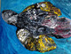 Turtle (ART_5949_34473) - Handpainted Art Painting - 20in X 16in
