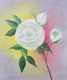 White rose (ART_6152_35396) - Handpainted Art Painting - 20in X 16in (Framed)