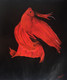 Red Betta (ART_4440_36607) - Handpainted Art Painting - 18in X 20in