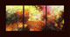 abstract, waves, multicolor abstract, red, orange