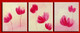 abstract, flower. Flowers, pink flowers, simple flowers