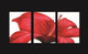 flower, red flower, hibiscus, star like flower